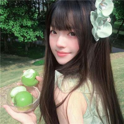青木原树海